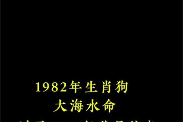 2025年属狗人运势解析事业财运大揭秘 2025年属狗人运势解析事业财运大揭秘