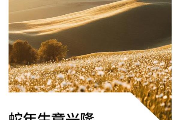 2025年开业最旺的日子和吉时