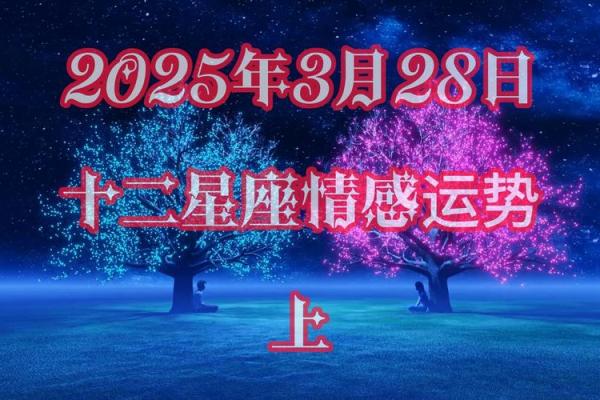 12月28号是什么星座的 12月28号什么星座是什么