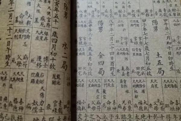 紫薇命盘免费算命