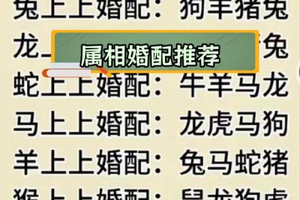 生肖配对属鼠属鸡的婚姻怎么样