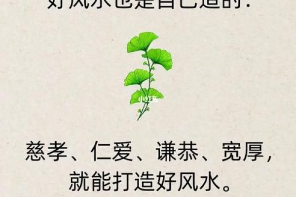 福地福人居，如何才能打造风水福地！