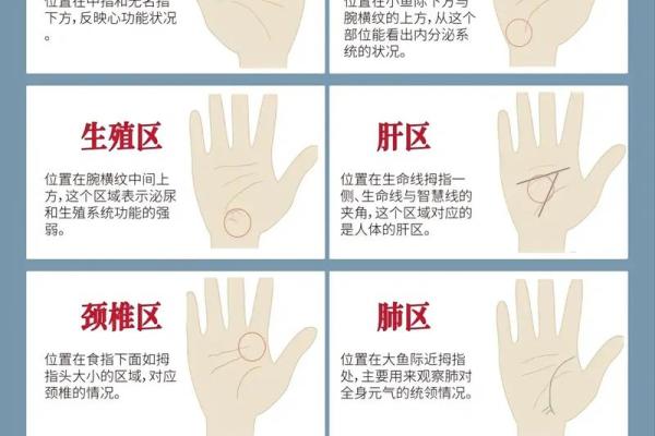 手相算命：健康
