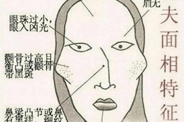 耳相算命图解，如何从耳相看人的命运