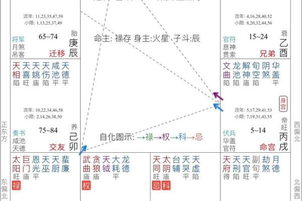 紫微斗数下世 紫微斗数!？