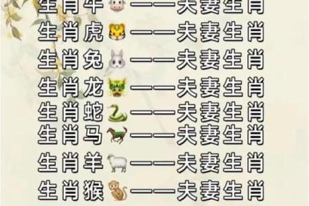 女猴男鸡生肖配对姻缘