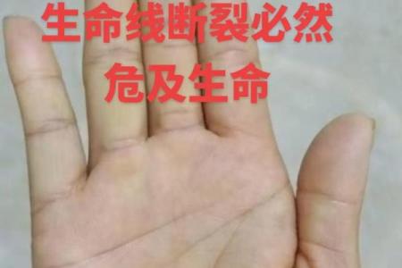 《手相学习百科》：生命线
