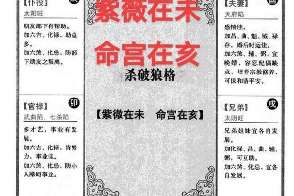 紫薇斗数书籍详解
