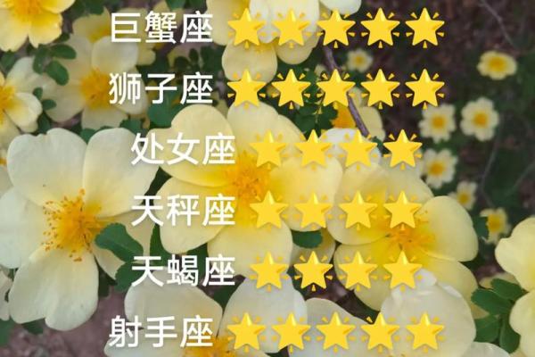 今日头条星座运势直播