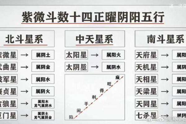 粤启明紫薇斗数