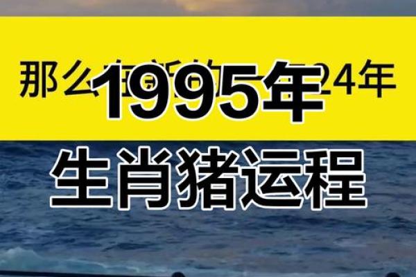 95年属猪女和什么生肖配对最好 什么时候才想要结婚
