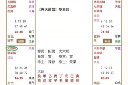 紫薇斗数书籍详解