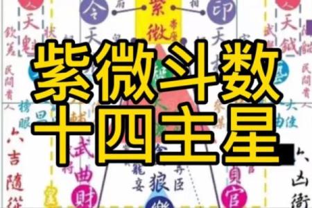 紫微开创型,紫微斗数四大类型