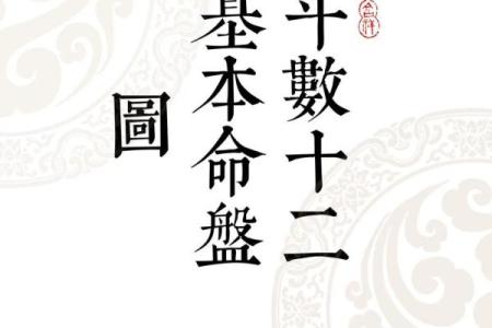 阿里紫薇斗数