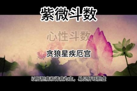 紫薇斗数迁移宫贪狼