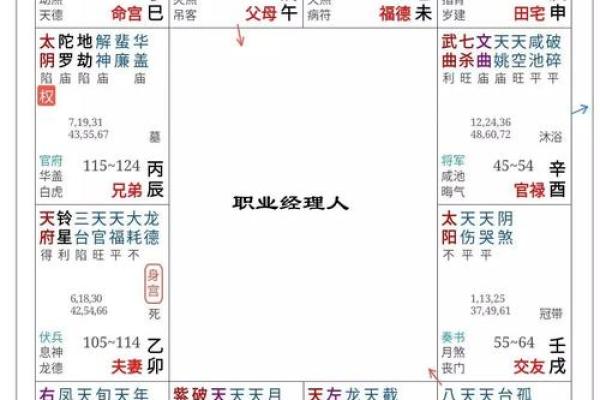 紫薇斗数绝胎养