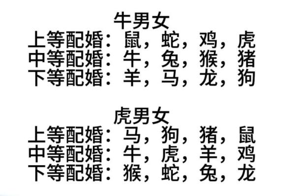 婚姻属相配对大全很准免费 十二生肖婚姻配对表