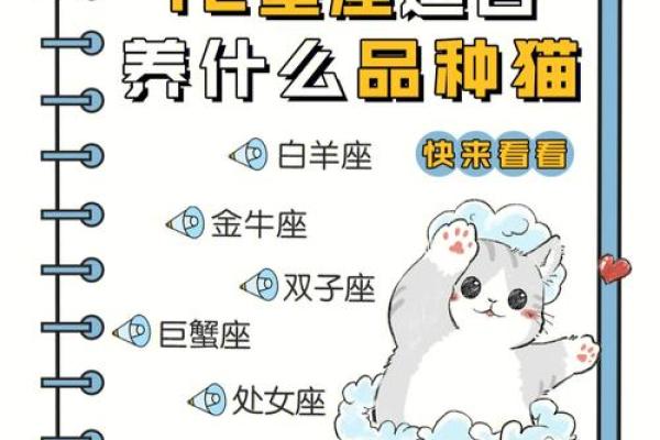 12星座长大开什么店最适合