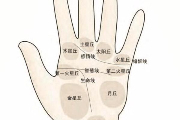 女生手相看命运，解析八字大全