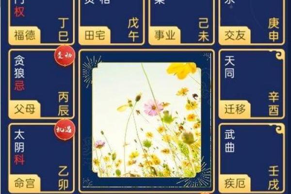 紫薇斗数无煞