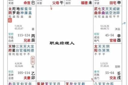 紫薇斗数绝胎养