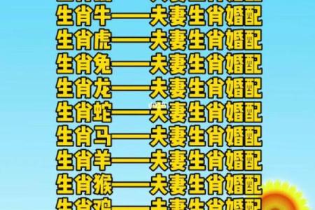 十二生肖姻缘配对生肖配对查询 十二生肖姻缘配对,12属相婚配表？