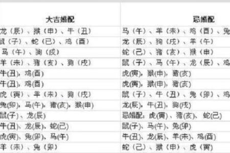 1996年属什么生肖配对