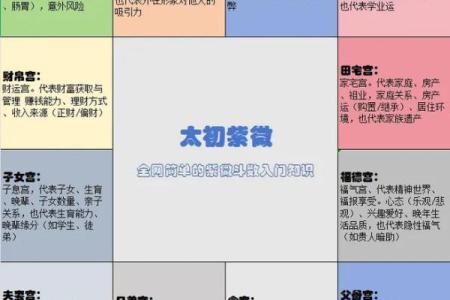 紫薇斗数看婚期案例