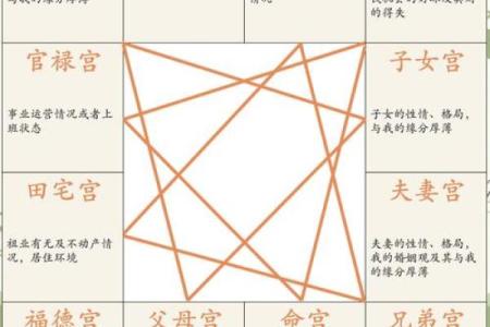 紫微斗数案例42健康：能活到90多岁的命盘