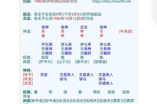 苏民峰八字