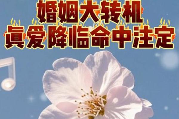 生肖羊婚姻配对 生肖羊姻缘最佳配对