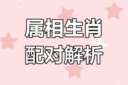 生肖羊婚姻配对 生肖羊姻缘最佳配对