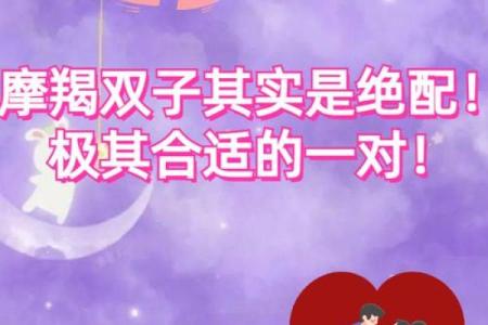 摩羯座男生和哪个星座比较配