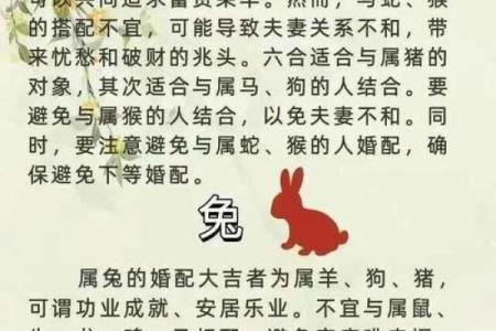 女鼠男虎生肖配对姻缘 属鼠女与属虎男婚姻配对详解