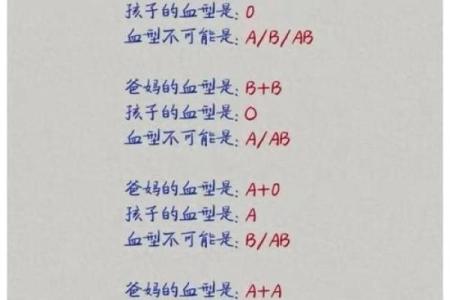 怎样企业培养不同血型的小孩