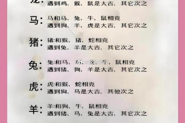 十五生肖：探索属鼠者的个性特征和相性配对