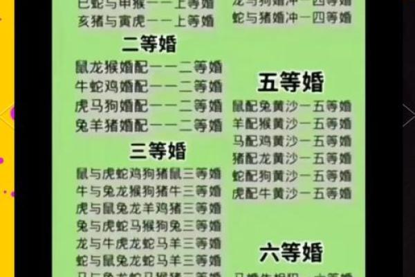 婚姻属相配对查询属马 哪些属相与属马最相配
