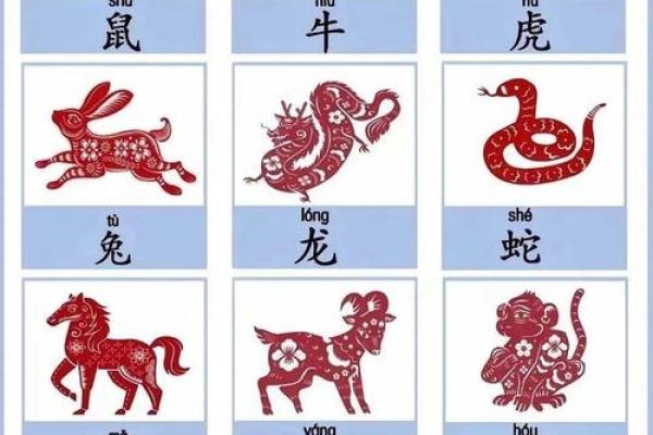 八字大家属于哪个生肖