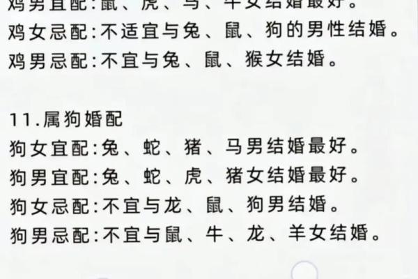 父母与子女属相配对