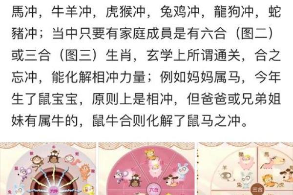 父母与子女属相配对