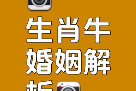 属牛人婚姻配对