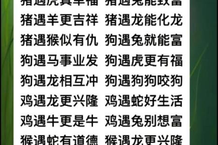 周易中属什么生肖？解析周易生肖配对