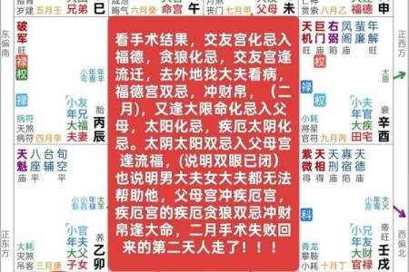 紫薇星入事业宫详解