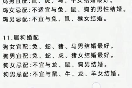 父母与子女属相配对