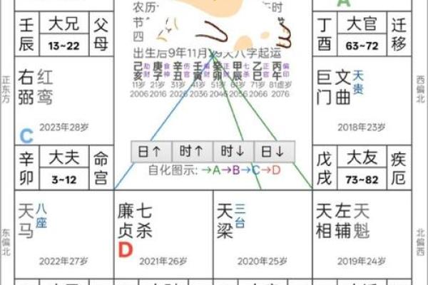 紫薇斗数看每日流盘
