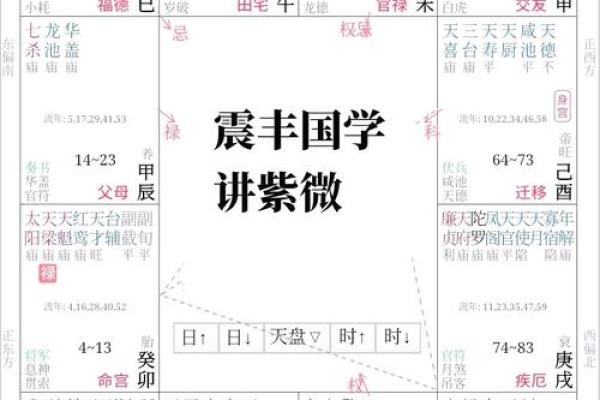 紫薇斗数看每日流盘