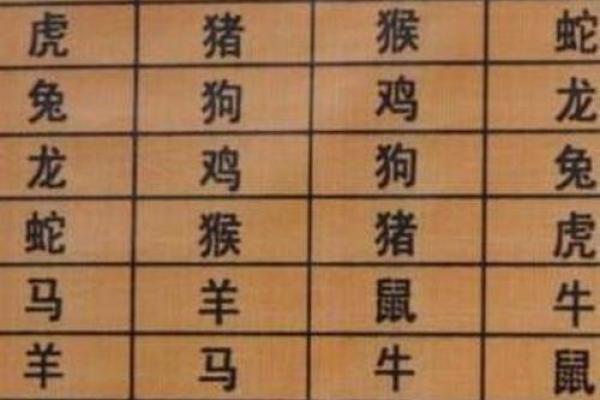 注定成为敌人的属相配对