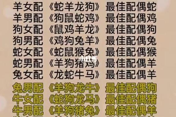 注定成为敌人的属相配对