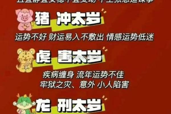 岁数小为什么不能算命