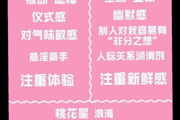 什么是紫微斗数中的天姚 紫微斗数 天姚？